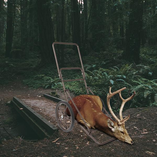 Folding Multifunctional Deer Hunting Cart 